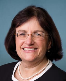 Ann Kuster
